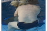 foto Martina Řehořová