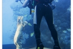 foto Martina Řehořová